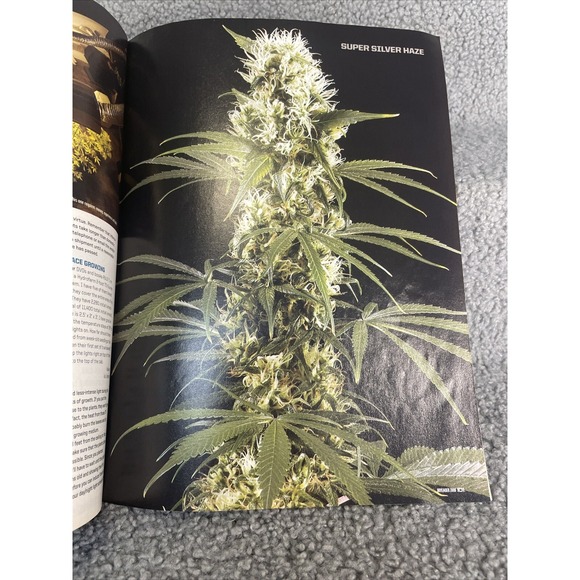 HIGH TIMES MAGAZINE COLLECTIBLE NOVEMBER 2008 - Picture 9 of 16